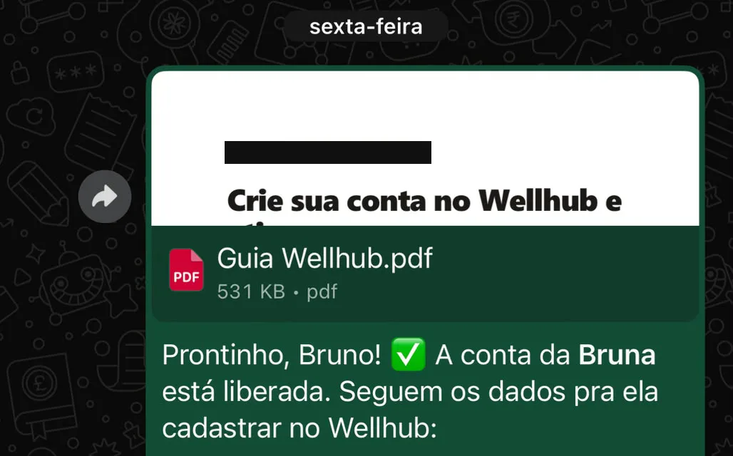 Print de conversa no WhatsApp: o atendimento confirma que a conta da familiar do cliente está liberada — “Prontinho, Bruno! A conta da Bruna está liberada” — junto com o Guia Wellhub em PDF. Dados de cadastro ocultados por privacidade.